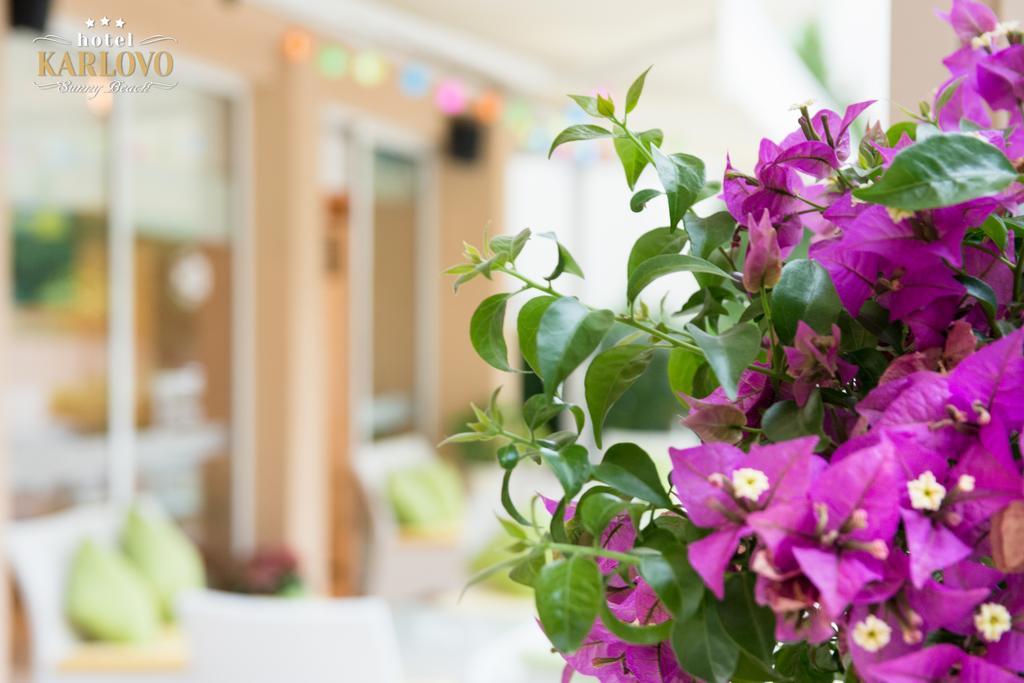 Karlovo Hotel Sunny Beach Exterior foto